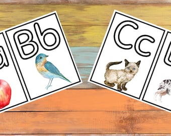 Alphabet Poster Board Decor/Flash Cards