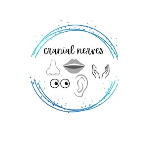 Cranial Nerves Study Sheet