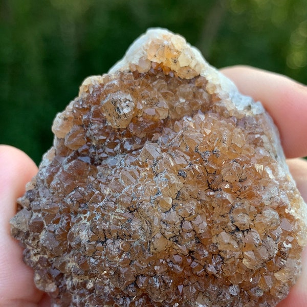 Beautiful Missouri “Rootbeer”  Quartz Drusy (Druzy) crystal specimen rare color dark citrine