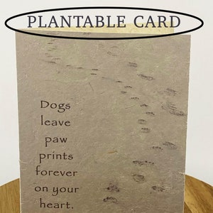 Carte de sympathie à planter pour animal de compagnie, empreintes de pattes et traces de pas dans le sable - faire pousser des fleurs sauvages