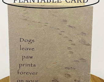 Plantable pet sympathy card, paw prints and footsteps in sand - grow wildflowers
