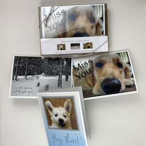 Dog lover notecard box gift set, blank notecards