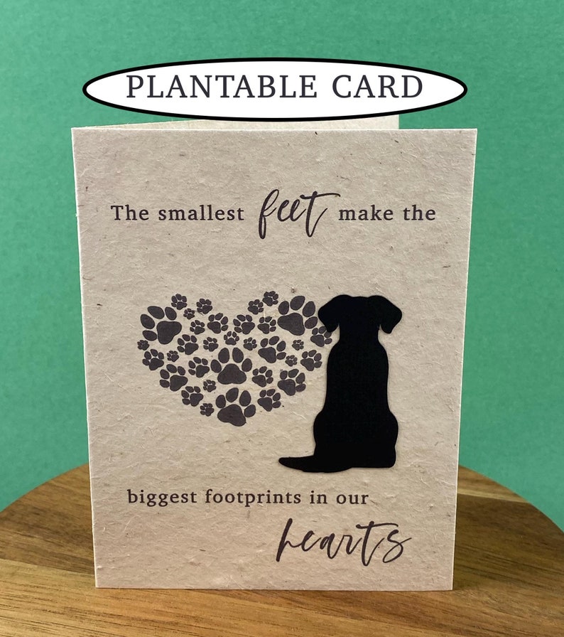 Pu&ograve; includere: Un biglietto piantabile beige con superficie ruvida che presenta la sagoma nera di un cane accanto a un cuore composto da piccole impronte di zampe. Il testo recita: The smallest feet make the biggest footprints in our hearts. PLANTABLE CARD.