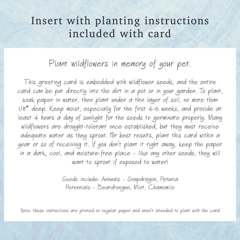 Pu&ograve; includere: Una carta rettangolare bianca con testo nero contenente istruzioni per la semina di fiori selvatici. Il testo spiega come piantare la carta contenente semi in 0,3 cm di terra ed elenca i semi inclusi come bocca di leone e menta.