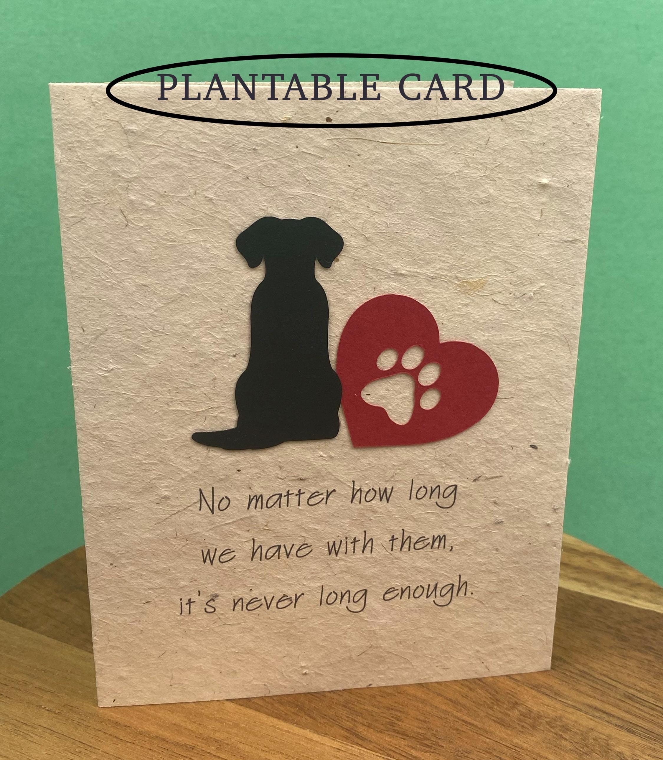 Lovely Sympathy Card For Loss Of Pet Cat, Cute Pet Cat Loss Card With Rainbow Bridge
