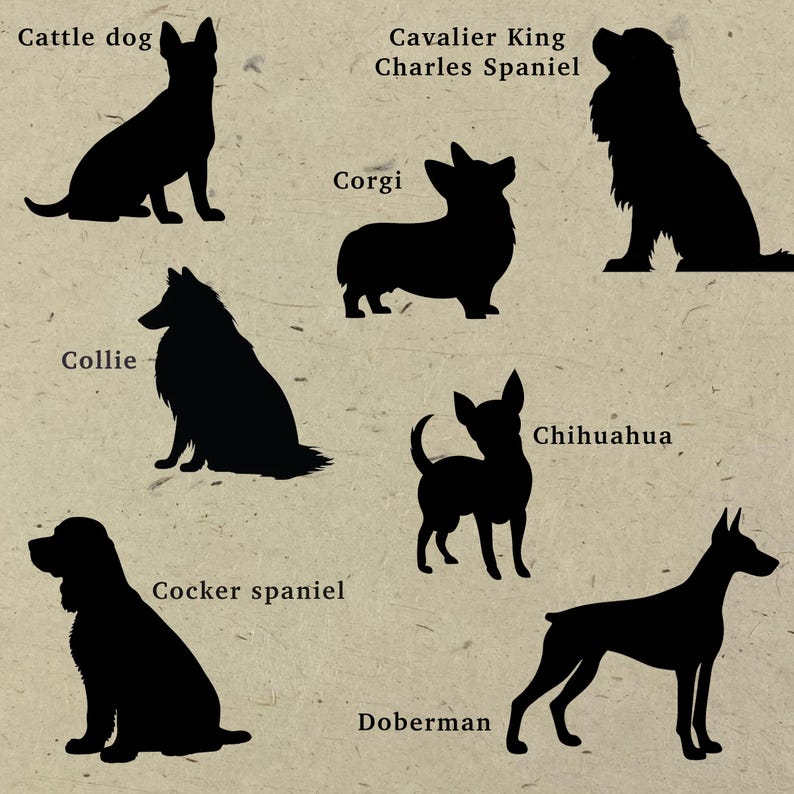 Pu&ograve; includere: Una collezione di sagome nere di cani su uno sfondo beige testurizzato. Le razze etichettate sono Cattle dog, Cavalier King Charles Spaniel, Corgi, Collie, Chihuahua, Cocker spaniel e Doberman, ognuna posizionata con il proprio nome.