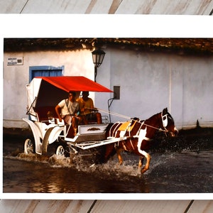 Horse-drawn cart Paraty, Brazil - blank photo card