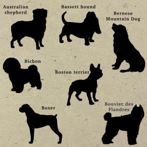 Pu&ograve; includere: Una collezione di sette sagome nere di cani su uno sfondo beige testurizzato. Le razze etichettate sono Australian shepherd, Bassett hound, Bernese Mountain Dog, Bichon, Boston terrier, Boxer e Bouvier des Flandres, ciascuna vista di profilo.