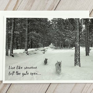 Vivez comme si quelqu'un avait laissé la porte ouverte - Carte avec photo chien