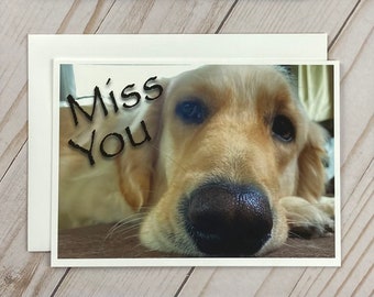 Golden Retriever Photo Cards - Etsy