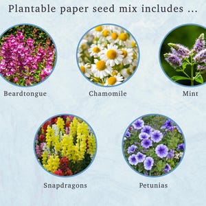 Plantable Pet Sympathy Card: Wildflower Seeds, Dog Breed Silhouette immagine 12