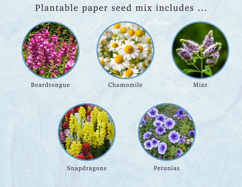 Plantable Pet Sympathy Card: Wildflower Seeds, Dog Breed Silhouette immagine 12