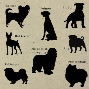 Pu&ograve; includere: Una collezione di sagome nere di cani disposte su uno sfondo beige testurizzato. Le razze etichettate sono Papillon, Pointer, Pit bull, Rat terrier, Old English sheepdog, Pug, Pekingese e Pomeranian, ognuna raffigurata in una posa distinta.