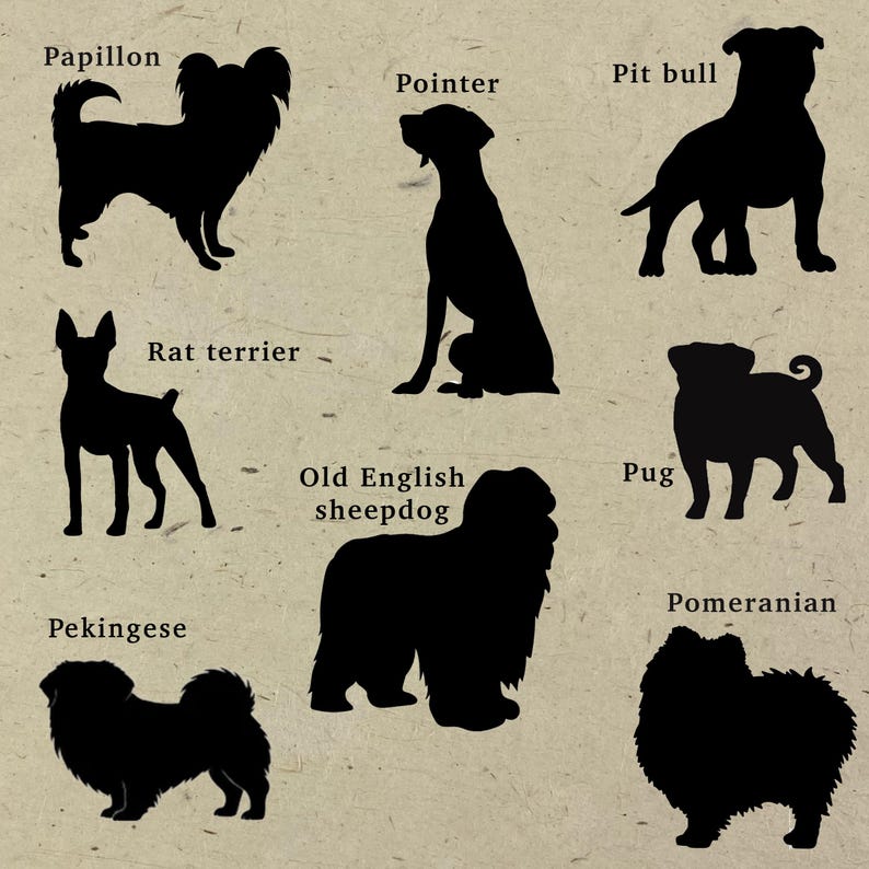 Pu&ograve; includere: Una collezione di sagome nere di cani disposte su uno sfondo beige testurizzato. Le razze etichettate sono Papillon, Pointer, Pit bull, Rat terrier, Old English sheepdog, Pug, Pekingese e Pomeranian, ognuna raffigurata in una posa distinta.