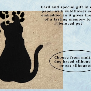 Pu&ograve; includere: Un biglietto in carta ruvida color marrone chiaro con la sagoma di un gatto nero e impronte di zampe nere. Il testo recita: Card and special gift in one - paper with wildflower seeds embedded in it gives the gift of a lasting memory for a beloved pet. Choose from multiple dog breed silhouettes or cat silhouette.