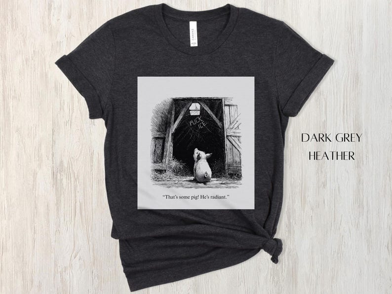 Puede incluir: Camiseta gris oscuro jaspeado con una ilustraci&oacute;n en blanco y negro de un cerdo mirando hacia un granero. La puerta del granero tiene las palabras "FUCK ICE". El texto "That's some pig! He's radiant." est&aacute; debajo.