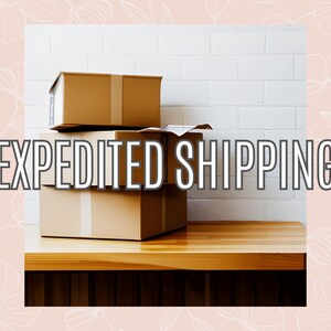 Expedited DOMESTIC Shipping