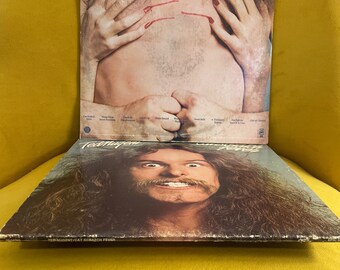 Cat Scratch Fever – Ted Nugent (1977) Vinyl LP • Original Pressing
