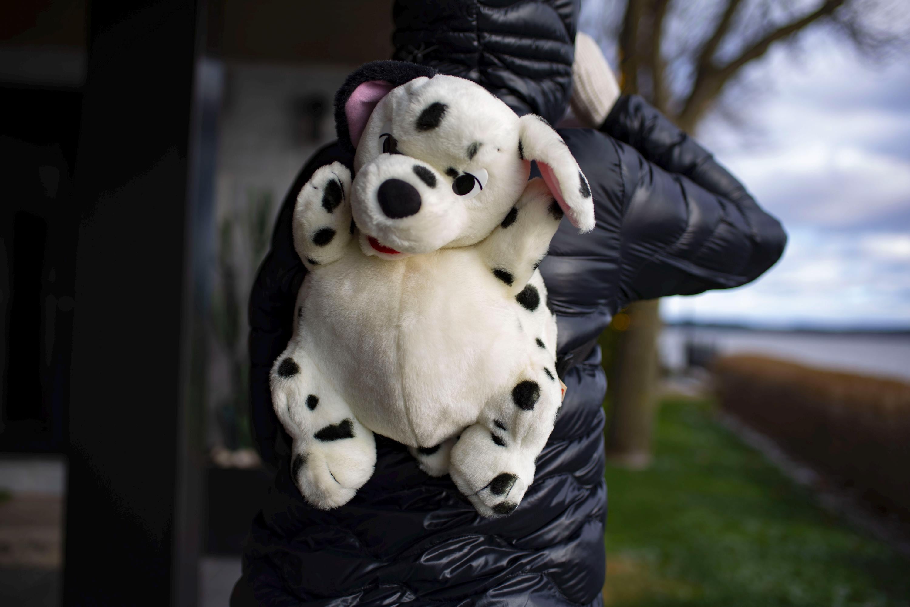 90's 101 Dalmatians 