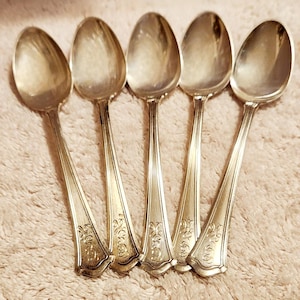 May include: A set of five silver-toned metal spoons arranged in a row. Each spoon features a smooth, oval-shaped bowl and a handle decorated with a subtle, embossed floral pattern near the base. The metal has a polished, reflective finish.