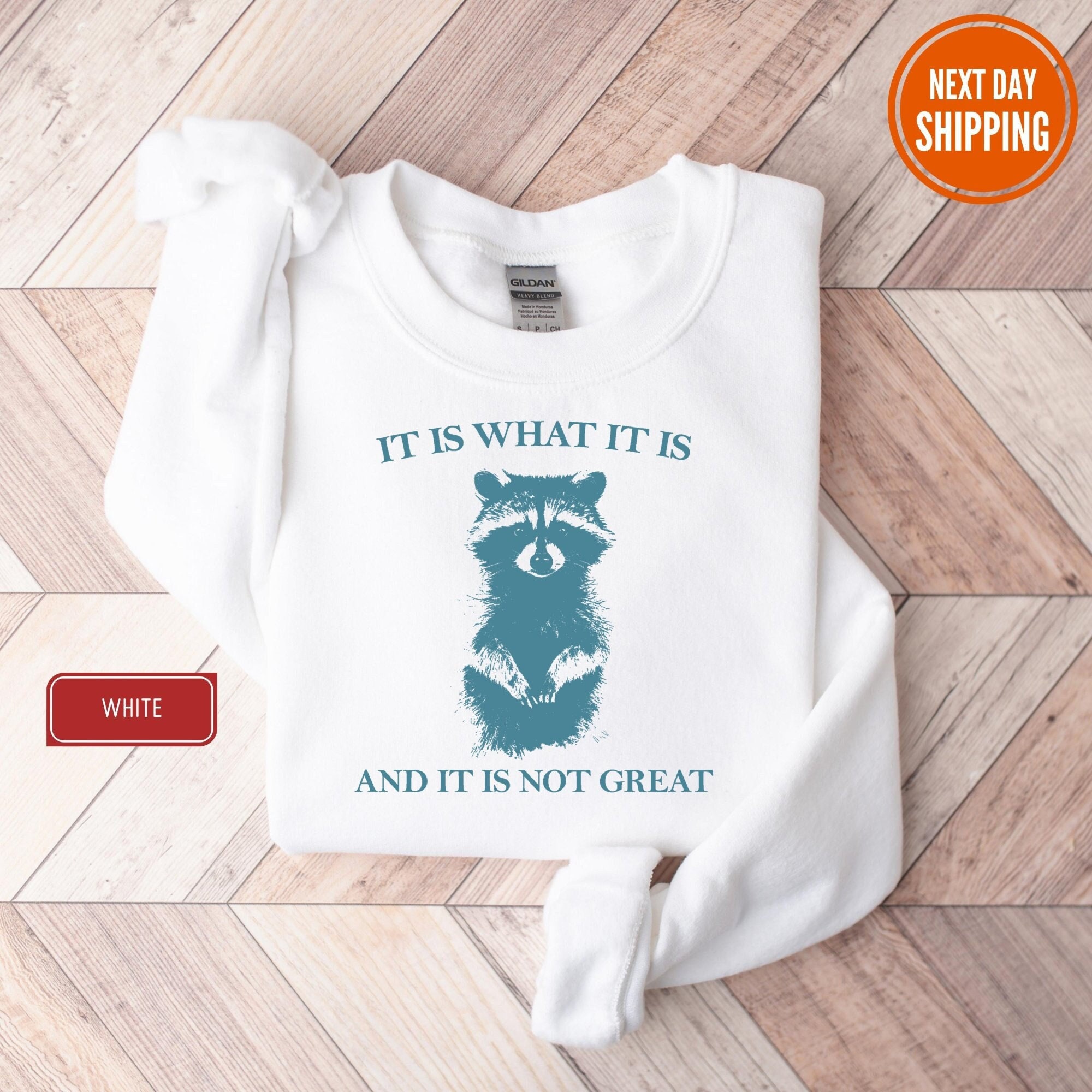 It Is What It Is And It Is Not Great Sweatshirt, Raccoon Sweatshirt, Mental Health Sweatshirt, Funny Meme Sweatshirt, Funny Sweatshirt Women