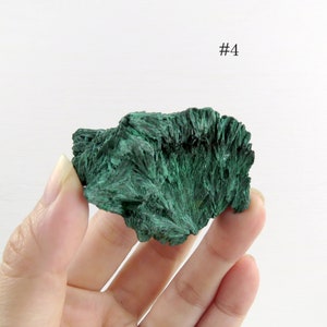 Könnte beinhalten: Ein grüner Malachit-Kristall in Fächerform. #4