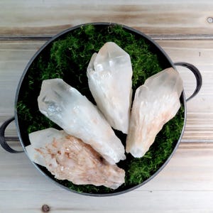 May include: A metal container filled with green moss and several clear quartz crystal points. The crystals vary in size and shape, with some having a slight pinkish hue. The container has two small handles.