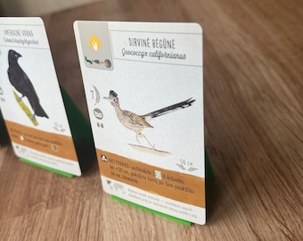May include: A card game featuring a roadrunner bird illustration with the text "DIRVINE BEGÜNE Geococcyx californianus" and "AKTYVAVUS: pažiūrėkite iš krūvelės. Jei 50 cm, pakiškite kortą po šiuo paukščiu. Jei ne, ilmeskite."