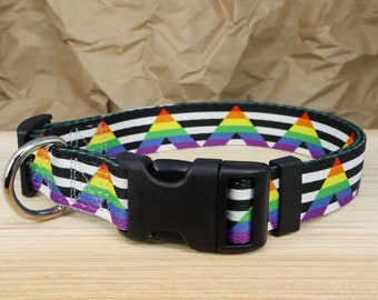 Straight Ally Pride Dog Collar