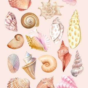 Watercolor Seashell Digital Art Print Illustration, Printable Wall Art Décor, Nautical Home Décor, Shells Poster,Ocean Beach Artwork image 2