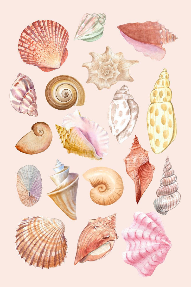 Watercolor Seashell Digital Art Print Illustration, Printable Wall Art Décor, Nautical Home Décor, Shells Poster,Ocean Beach Artwork image 2