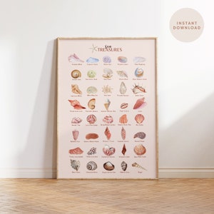 Digitaler Download Aquarell Muschel Druck - Muschel Kollektion Mit Namen - Druckbare Muschel Wandkunst - Bildung Infografik Poster