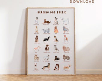 Herding Dog Breeds Print, Animal Prints, Educational Activities, Montessori Printable Wall Art, Educational Posters, Nursery Wall Art