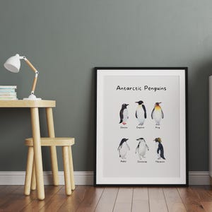 Póster de pingüinos antárticos en acuarela: tipos y especies, impresión de animales, arte de pared imprimible, infografía educativa, decoración para la escuela en el hogar