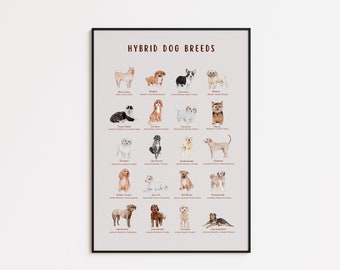 Hybrid Dog Breeds Poster, Infographic Dog Wall Art Print , Gifts For Veterinarians, Dog Grooming Decor, Dog Lover Gift, Breeds Types Chart