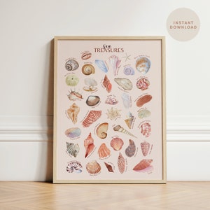 May include: A printable poster featuring a collection of 36 different seashells, each with its name labeled in a handwritten font. The poster has a pink background and is framed in a light wood frame. The title of the poster is "Sea Treasures".