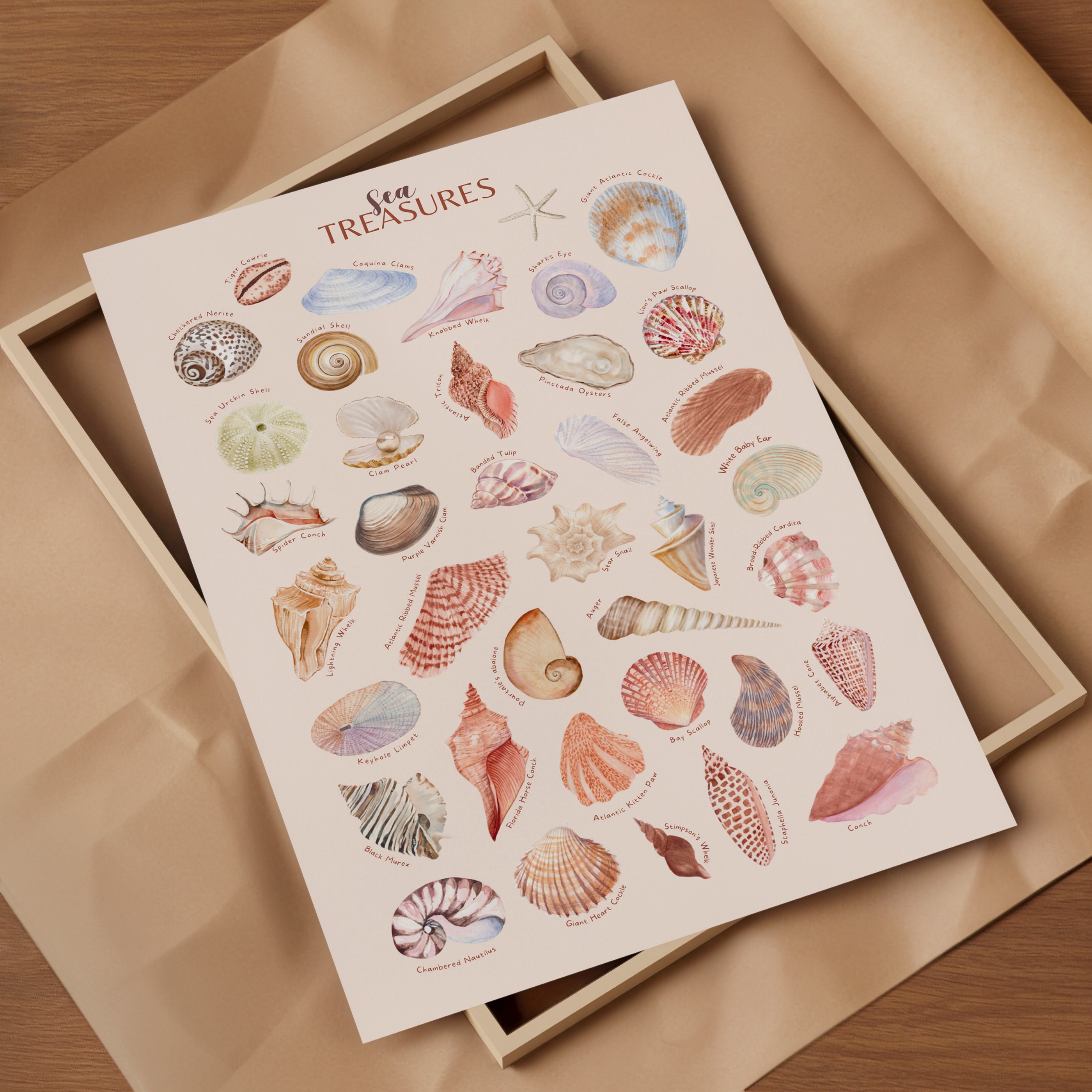 01 Digital Download Watercolor Seashell Print Seashell Wall Art ...