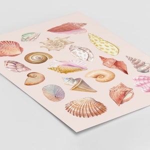 Watercolor Seashell Digital Art Print Illustration, Printable Wall Art Décor, Nautical Home Décor, Shells Poster,Ocean Beach Artwork image 3