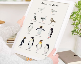 Educational Birds Poster, Animal Print, Birds of Antarctica, Penguins, Nature, Printable Wall Art, Aesthetic Posters, DIGITAL DOWNLOAD