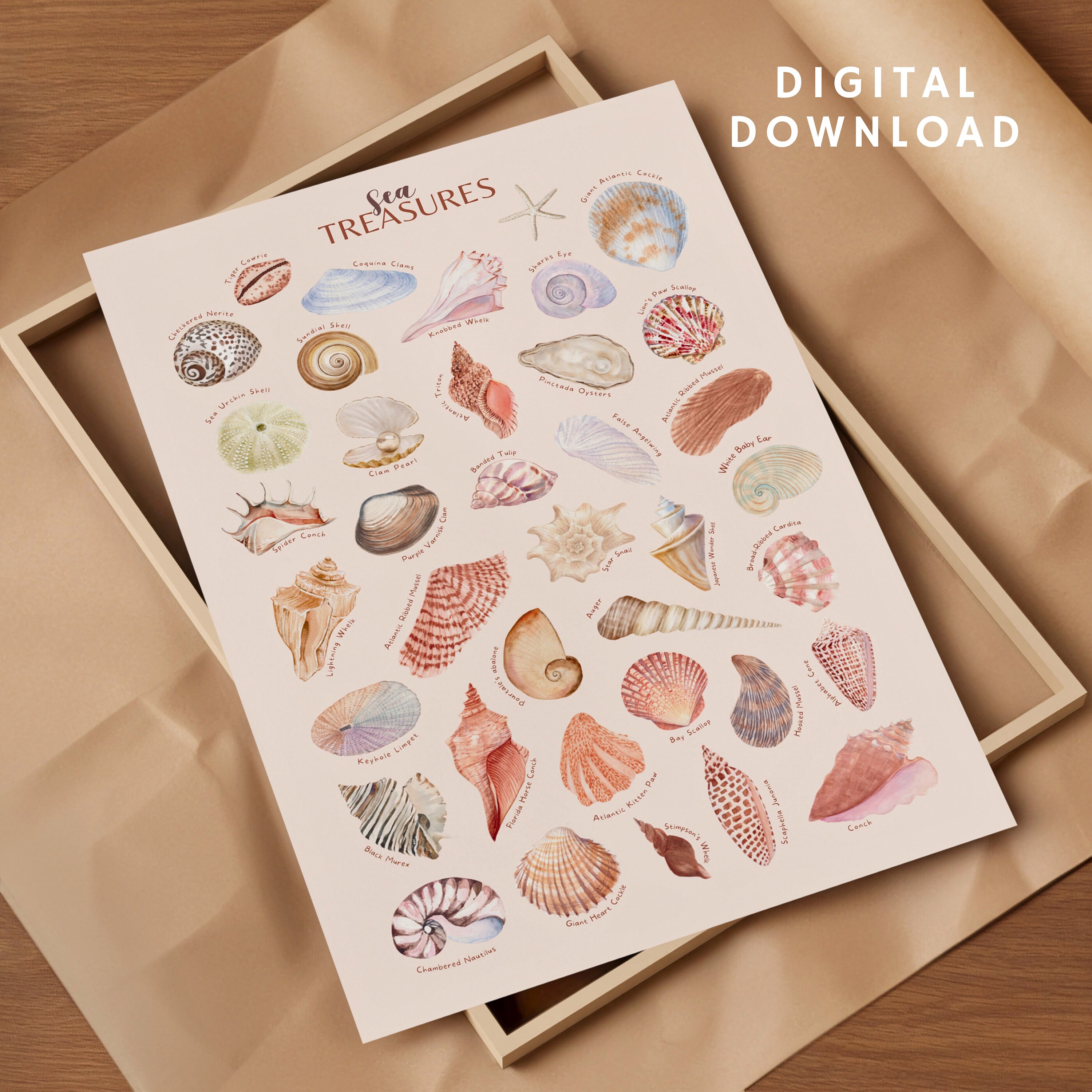 Downloadable Watercolor Seashell Print, Seashell Wall Art, Seashell Poster, Beach Poster ...