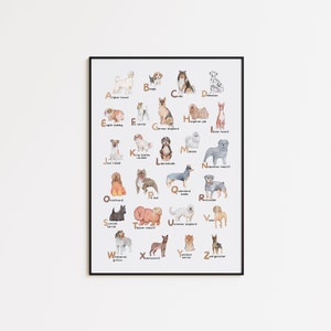Dog Alphabet Print - Printable A to Z Dog Breeds Poster - ABC dog breeds - wall art Print  - Digital Download