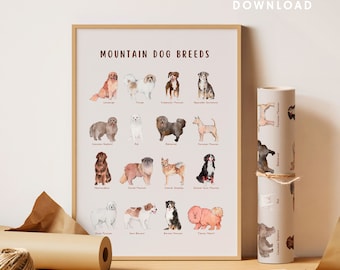 Printable Mountain Dog Breeds Print, Infographic Dog Poster, veterinarian gift, Gifts For Veterinarians, Dog Grooming Decor, Dog Lover Gift