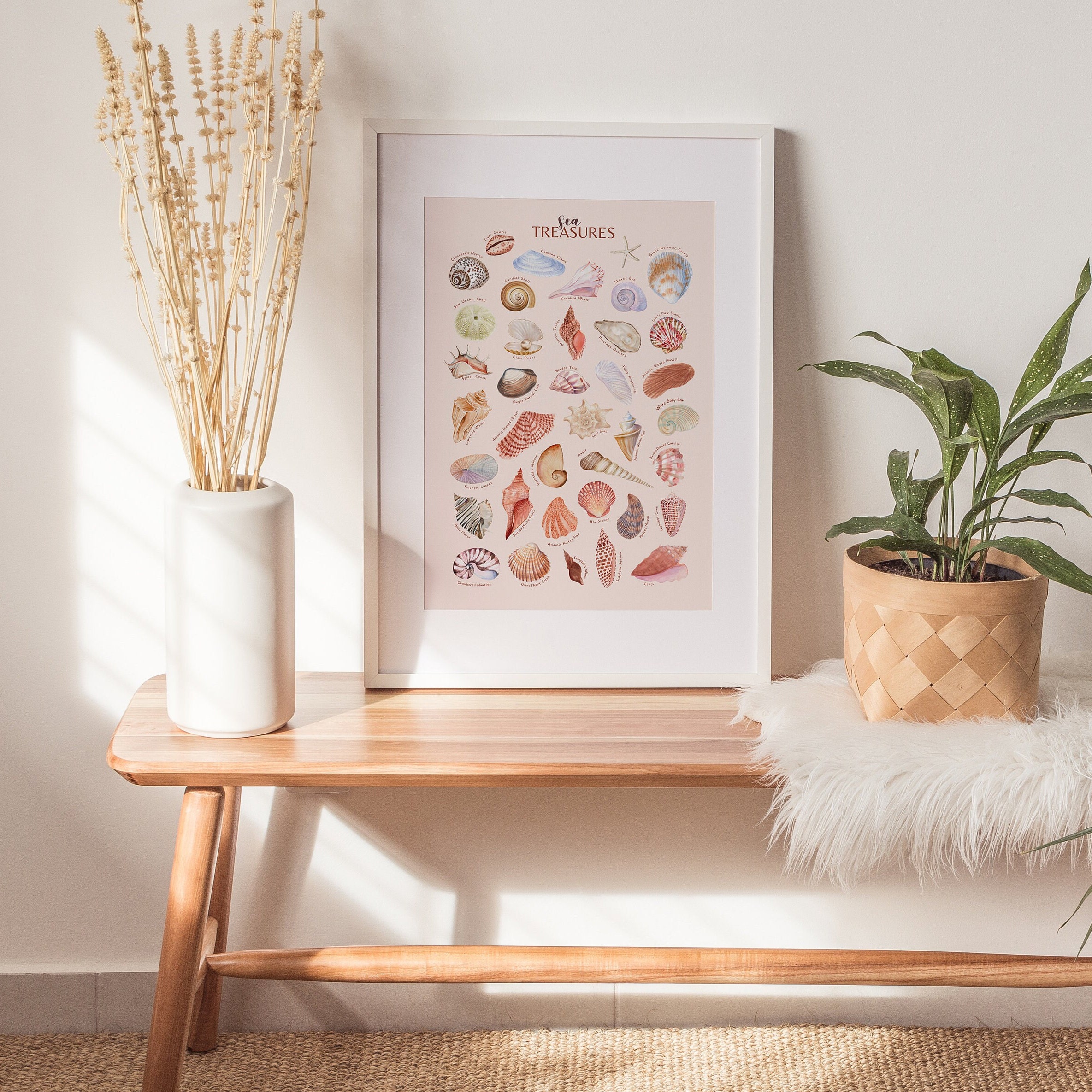 Downloadable Watercolor Seashell Print, Seashell Wall Art, Seashell Poster, Beach Poster ...
