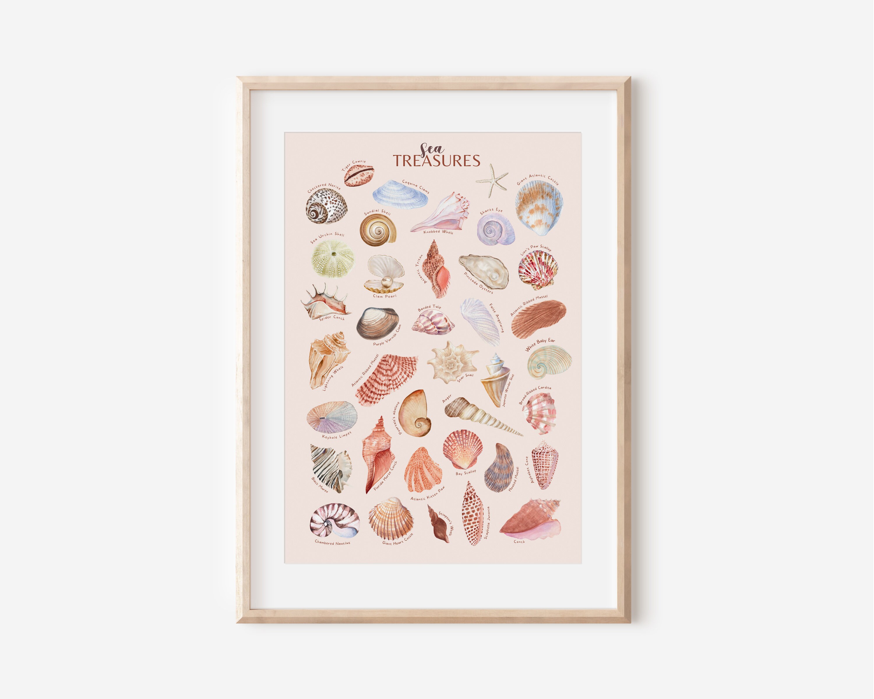 Downloadable Watercolor Seashell Print, Seashell Wall Art, Seashell Poster, Beach Poster ...