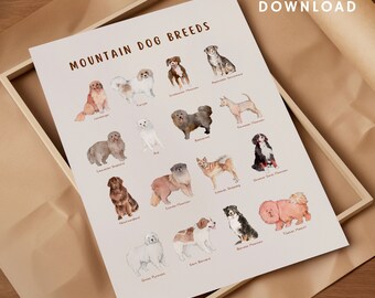 Mountain Dog Breeds Print, Animal Prints, Educational Activities, Montessori Printable Wall Art, Educational Posters, Nursery Wall Art