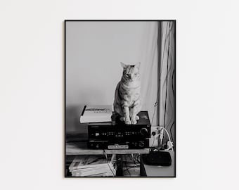 Digital Download Black and White Photography Cat Print - Printable Wall Art - Vintage Print - Photography Prints Wall Decore - Animal Prints