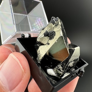Octahedral Pyrite Specimen: Huanzala Mine, Peru (1.2 Inch)