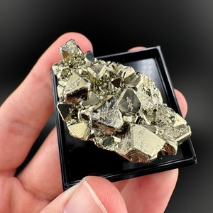 AAA Octahedral Pyrite Cluster: Huanzala Mine, Peru