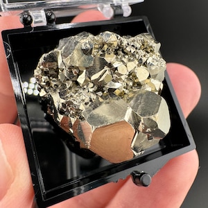 AAA Octahedral Pyrite Cluster: Huanzala Mine, Peru