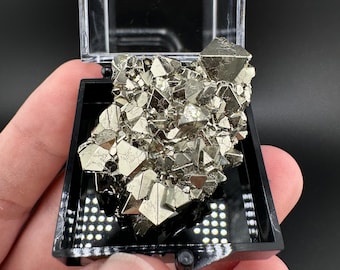 Octahedral Pyrite Cluster: AAA Grade Huanzala Mine, Peru